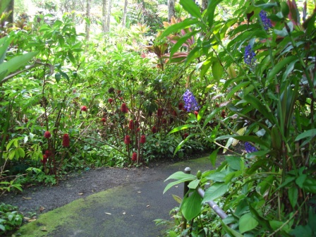 Hiking in Volcano